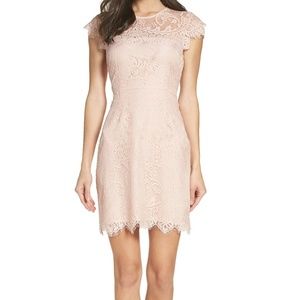 BB Dakota Jayce Rose Smoke Lace Dress